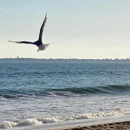 A 300m De La Plage, Parc, Piscine, Terrasse